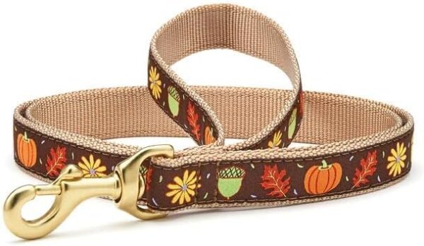 UP COUNTRY Harvest TIME Dog Leash 5' (5' Narrow (5/8" Width))