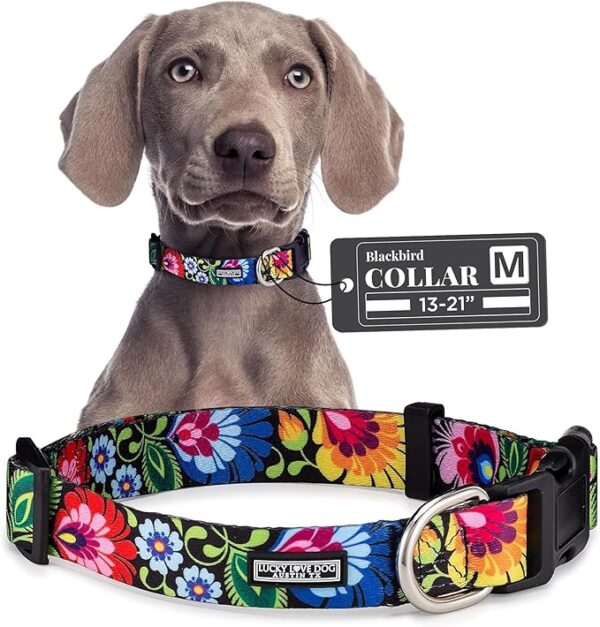Lucky Love Dog - Adjustable Dog Collar with Easy Click Buckle for Small to Large Dogs , Medium